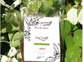 Cuando iniciaba Dm'café no creía en que pudiese subsistir!  Hoy a más de un año y medio, me da mucho gusto presentarles mi 5ta presentación de café. Esta vez de la mano de finca las moras y Carnisa de la familia Calderón montes que me a proporcionado un cafe orgánico especial. Actualmente en su presentación de 25 gramos y pronto su presentación libra   De venta en: ✅carnicería Carnisa  ✔Pronto en tiendas de barrio.   ✅También puedes pedirlo a Domicilio reparto en todo Quezaltepeque sin costo adicional  Whatsapp 32660042