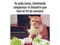 😭😭😭