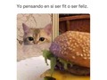 🤣🤣🤣