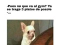 🤣😭😭