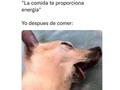 🤣🤣🤣