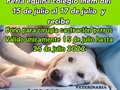 2022-07-13 14:00:11