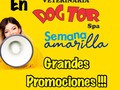 Veterinaria Dogtor Av cero 4-74 lleras Cúcuta tel 3133168595 /3175207638