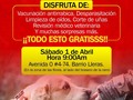 Te esperamos!!!! Salud ora tu mascota totalmente gratis!!!
