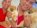 No te dejes engañar!!! Ofrecemos mascota de todas la razas garantizadas, para todos los gustos!!!