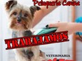 Mañana… TRABAJAMOS!!!