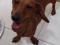 Bombón les desea feliz tarde!!!