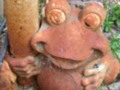 Odd and unique objects you noticed along your walks