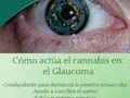 #cannabismedicinal #weed #hemp #marijuana #cannabis #cannabiscommunity #cbdhealth #medellín #dolor #artritis #glaucoma