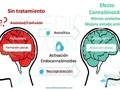 El estudio de los efectos #neuroprotectores de los #cannabinoides es uno de los aspectos más activos, esperanzadores y mediá de la investigación #biomédica actual sobre dichas moléculas, no sólo a nivel internacional sino también en nuestro país.