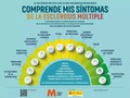 La #esclerosis múltiple fue la primera enfermedad neurológica dónde los #cannabinoides fueron aprobados para su uso. Específicamente para mejorar la #espasticidad y #espasmos musculares que sufren los pacientes con estadios de la enfermedad avanzada. Varios ensayos clínicos demostraron fuera de toda duda su eficacia, lo que llevó al spray de THC+CBD a su aprobación con esta indicación terapéutica en 2010. Estudios observacionales posteriores en #esclerosis múltiple apuntan a que el spray de THC+CBD usado para la #espasticidad produce, además, mejora en otros síntomas de la enfermedad como el #dolor neuropático, disfunción de la #vejiga, #fatiga y alteraciones del #sueño.