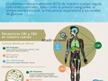 En este artículo hemos visto cómo el SEC tiene una presencia masiva en el tracto #gastrointestinal y cómo participa en la regulación de funciones importantes, desde la sensación de #hambre hasta la absorción de nutrientes de los #alimentos. Actuar sobre uno de estos mecanismos mediante el uso de #fitocannabinoides, fármacos similares a los #cannabinoides, antagonistas o #fármacos que interfieren con la #biosíntesis o la degradación de los #endocannabinoides, puede ser una estrategia eficaz en el tratamiento de numerosos trastornos #gastrointestinales, desde trastornos funcionales hasta #obesidad, desde #inflamación crónica hasta trastornos de la #motilidad.