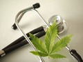 El profesor #Crippa resumió en profundidad los múltiples efectos del #CBD en #neuropsiquiatría que él y su grupo han estado estudiando de forma exhaustiva. Aunque aún se necesita más evidencia clínica, y muchas preguntas permanecen abiertas, los datos sobre el uso de esta molécula en #neuropsiquiatría parecen muy prometedores. Ojalá más científicos recorran el camino que #Crippa y sus colegas han sacado a luz y continúen arrojando luz sobre el uso de #Cannabidiol como #antipsicótico, #ansiolítico y #antidepresivo.