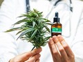 Cada vez más países tienen leyes específicas sobre #cannabis medicinal, luego en el futuro se dispondrá de información relevante sobre los posibles efectos #neuropsiquiátricos del uso médico del #cannabis. Por el momento, algunos estudios no solo encuentran mejoras en términos de #salud en enfermos crónicos que usan #cannabis, sino que además, sorprendentemente, los efectos #neuropsiquiátricos disminuyen. La explicación es que el #cannabis, utilizado médicamente, al reducir las condiciones de #estrés asociadas a toda enfermedad crónica, se acompaña de una mejora en el estado #psicológico y #neuropsicológico general. Volviendo al principio, si se asumen los riesgos de #psicofármacos que claramente están relacionados con condiciones #neuropsiquiátricas, no hay motivo para sospechar que el #cannabis no pueda ser adecuadamente utilizado en #medicina y controlados los eventuales riesgos. De momento, y saliéndonos del ámbito de las #psicosis, no paran de publicarse estudios provenientes de países en los que hay regulación medicinal en los que se encuentra que una alta proporción de enfermos reduce e incluso sustituye por #cannabis fármacos de prescripción, principalmente #ansiolí, #antidepresivos y #analgésicos. Luego, el #cannabis medicinal regulado puede que conlleve algunos riesgos #neuropsiquiátricos que, con supervisión médica se pueden controlar y prevenir, e indudablemente también aporta numerosos beneficios.