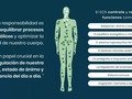 Los #endocannabinoides los producen casi todos los organismos del reino animal. Estos son ligandos endógenos naturales, producidos por los organismos #animales y #humanos, que se enlazan a los receptores #cannabinoides. Los #endocannabinoides y los receptores #cannabinoides conforman el sistema #endocannabinoide, implicado en una amplia variedad de procesos fisiológicos (como la modulación de la liberación de #neurotransmisores, la regulación de la percepción del #dolor, de las funciones #cardiovasculares, #gastrointestinales y del #hígado). Los dos #endocannabinoides principales que se han descubierto son la #anandamida (N-araquidonoiletanolamida, ANA) y 2-araquidonilglicerol (2-AG).
