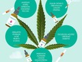 Estas propiedades hacen que el #CBD se utilice en el tratamiento de múltiples enfermedades, algunas de las cuales son:   #epilepsia  enfermedades #neurodegenerativas (por ejemplo, #Alzheimer, #Parkinson y #Esclerosis Múltiple)  dependencias químicas  #ansiedad  #psicosis  trastorno de espectro #autista  enfermedades inflamatorias crónicas como la #poliartritis crónica, enfermedad de #Crohn, enfermedad inflamatoria intestinal,  acompañamiento de la quimioterapia  tratamiento antitumoral  Más allá de sus usos terapéu, en algunas jurisdicciones, el CBD es recomendado como suplemento alimentario.