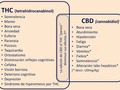 Efectos adversos del #THC Además de los ya comentados, entre los efectos adversos del #THC se cuentan sensación de #cansancio, #somnolencia, #sequedad de boca, #cefaleas, #mareos y trastornos en la coordinación.