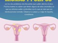 Si presentas algunos de estos síntomas, no dude en agendar una cita con tu ginecólogo de confianza ✔️