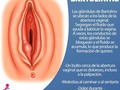Requiere diagnóstico médico  Los quistes de Bartolino pequeños y que no están infectados pueden no advertirse, a menos que aumenten de tamaño. Si el quiste se infecta, los síntomas pueden incluir dolor y molestias.