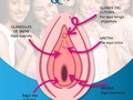 Sabías que ? La mujeres tienen varios orificios en su vagina ? ✅ Es hora de conocerlos