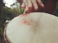 #djembe 1 iniciando el duelo de la pasion!" #drum #djembe #percussion #blood
