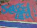 DREDDY LEA!! graffiti dedication by Joga Graff!! #graffiti #graff #street #urban #art #paint
