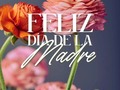 FELIZ DÍA DE LA MADRE Cuando Dios hizo la mujer y la diseñó para ser madre y multiplicar la humanidad, también la dotó de atributos como amor a toda prueba, sacrificio y la capacidad de dar incluso más allá de la vida, o lo que fuera necesario por los suyos.   Feliz día a mis hermanas, pacientes y amigas, que Dios continúe bendiciendo sus vidas y las de sus familias. Son mis más fervientes deseos,  Dr. Jesús Zubillaga y Esposa.  #diadelamadre #madre #madreehija #madreehijas #madreehijo #madreehijos #madres