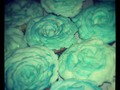 #cupcakes #flores #cremawilton