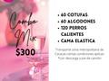 SUPER PROMO!  🎉 Facilitamos y coordinamos todos los aspectos necesarios para que tu fiesta sea un éxito, permitiéndote disfrutar del evento sin tener que preocuparte por los detalles logís y organizativos.  👉🏻 Te ofrecemos servicio personalizado al mejor precio 👉🏻 Cotiza tu evento sin compromiso  ⁉️ Comenta todas las dudas que tengas que con gusto te atenderemos. 👍 Síguenos para que te enteres de todos nuestros productos y servicios 📱 Contáctanos al (whatsapp) 0412-0108023  #agenciadefestejo #festejoencaracas #agenciadefestejoencaracas #fiestasencaracas #fiestas #eventos #fiestainfantil #bodas #decoracionbodas #babyshower #revelaciondesexo #fiesta15años