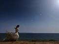 #tbt Unos de los mejores destinos de bodas en Venezuela es la Isla de Margarita, dónde el sol, la arena y los novios son protagonistas de bellos eventos. . @arianna260188 .. . . . . #FotografosCartagena #Fotografodebodas #Fotografomatrimonios#WeddingPhotographer #Bodas #Matrimonios #BodadeDestino #FotografoDestino#DestinationWedding #FotografosBogota #DestinationWeddings #WeddingDay#Wedding #bodasbogota #bodascartagena #bodascolombia #weddingportrait#caribbeanwedding #FotografoMatrimoniosMexico #LosCabosWeddings #MexicoWeddingPhotographer#bodaseneldf #Bogotá #Medellín #cartagena