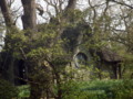 English Thatched Cottage in a Wood