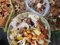 How beautiful is the mushroom season at the market! María Gloria’s stall is the best. She doesn’t like to be in pictures but loves when you take pics of his pretty mushrooms. She also loves to share recipes ❤️❤️   #mexicocity #mexico_amazing #mexico #foodtour #foodie #mushrooms