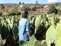 @lareinapanda exploring the cactus fields. Did you know that one of Mexico City’s districts is famous for their cactus, beans and corn fields? This awesome city is so big that you won’t need to leave to be in the middle of a beautiful field like this.