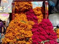 Day of the dead is here! And the flower marke’t look prettier. I love when the city becomes this giant pink and orange kaleidoscope, when the scent of the marigolds and copal remind us that our loved ones are about to come back to see us like every year. A much needed visit after this chaotic 2020.