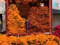 Day of the dead is almost here! We still have some spots for the market tour, you have only one chance a year to see the beautiful flowers. Book the Mexican food 101 tour or flower market brunch + mezcal tasting tour or the street food at night tour for a visit to this beautiful place. 🧡💓  #diademuertos #dayofthedead #cempasuchil #marigold #markets #flower #flowers #beautiful #mexico #mexicantradition #mexicocity