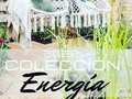 CONECTA CON LA ENERGÍA QUE TE RODEA Y TRANSFORMA DE FORMA POSITIVA LOS ESPACIOS Y TU SALUD.  @ec_design  #love #fashion #instagood #style #photooftheday #beautiful #compras #navidad #follow #beauty #like4like #art #home #arte #casa #followme #repost #verde #happy #instagram #colgantes #girl #amazing #photography