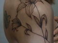 Un diseño de flores, manden mensaje quien quiera tatuarse! ✒️🎨 #florestattoo #tattoo #flores