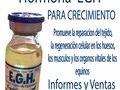 HORMONA EGH ¿Qué es la Hormona de Crecimiento Equina (EGH) 10ml?  Hormona de crecimiento equina (EGH) es una hormona producida por la glándula pituitaria anterior en el cerebro. Hormona de crecimiento equino promueve la reparación de tejidos, la regeneración celular en los huesos, los músculos y los órganos vitales, y apoya el sistema inmunológico en la lucha contra la infección y la enfermedad. ¿Por qué utilizar Hormona de Crecimiento Equina (EGH) 10ml para? - Promueve la reparación del tejido, la regeneración celular en los huesos, los músculos y los órganos vitales de los caballos. -Supone el sistema inmunológico en la lucha contra la infección y la enfermedad en los caballos  Ingredientes activos): Ingredientes por ml: Somatotropina 10 UI DHEA 25 mg / ml  La dehidroepiandrosterona es una prohormona endógena secretada por las glándulas suprarenales. Es un precursor de los andrógenos y estrógenos. DHEA es también un potente ligando del receptor sigma  No espere más adquiérala por solo $200.000 con envío a nivel Nacional  Más información Edwin Giraldo 301 613 36 91  #horses #cavalos #equinos #caballos #ccc #caballocriollocolombiano #pasofino #pasofinocolombiano #pasohorse #trote #trocha #trochaygalope #trochacolombiana #vitaminas #suplementos #hormonacreciemiento #crecimiento