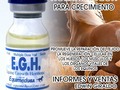 Hormona de crecimiento equina (EGH) es una hormona producida por la glándula pituitaria anterior en el cerebro. Hormona de crecimiento equino promueve la reparación de tejidos, la regeneración celular en los huesos, los músculos y los órganos vitales, y apoya el sistema inmunológico en la lucha contra la infección y la enfermedad. ¿Por qué utilizar Hormona de Crecimiento Equina (EGH) 10ml para? - Promueve la reparación del tejido, la regeneración celular en los huesos, los músculos y los órganos vitales de los caballos. -Supone el sistema inmunológico en la lucha contra la infección y la enfermedad en los caballos  Ingredientes activos): Ingredientes por ml: Somatotropina 10 UI DHEA 25 mg / ml  La dehidroepiandrosterona es una prohormona endógena secretada por las glándulas suprarenales. Es un precursor de los andrógenos y estrógenos. DHEA es también un potente ligando del receptor sigma  No espere más adquiérala por solo $230.000 con envío a nivel Nacional  Más información Edwin Giraldo 301 613 36 91  #horses #cavalos #equinos #caballos #ccc #caballocriollocolombiano #pasofino #pasofinocolombiano #pasohorse #trote #trocha #trochaygalope #trochacolombiana #vitaminas #suplementos #hormonacreciemiento #crecimiento