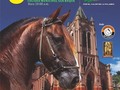 San Roque Nos espera este 13 de Octubre en su 5to Festival Equino, en el Coliseo Municipal desde las 10 am.  No se lo pueden perder!! @asdesilla #cavalos #caballos #equinos #festival #sanroque #trote #trocha #pasofino #pasofinocolombiano #ccc #caballocriollo #pasohorse