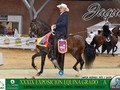 XXXIX EXPOSICIÓN EQUINA GRADO A - EXPOMALOCAS 2019  TROTE Y GALOPE  GRAN CAMPEÓN: Jaque del Limonar (Bucéfalo de Vuelta Grande F.C x Escarcha del Limonar Abuelo Materno: Duelo)  CAMPEÓN RESERVADO: Misterio de San Marcos (Cónsul de Gran Dinastía F.C x Estefanía Abuelo Materno: Mensaje de San Esteban)  PRIMER FINALISTA: Éxito de Gran Dinastía (Picasso de Gran Dinastía x Ilusión de Gran Dinastía Abuelo Materno: Sucesor del Paso F.C)  SEGUNDO FINALISTA: Apolo de Santa Lucia (Ónix F.C x Venus De San Fernando Abuelo Materno: Saturno de la Ceiba)  TERCER FINALISTA: Luciano de María Andrea (Cacique de Don Felipe x Prometida de Catysteven Abuelo Materno: Tayrona del Paso)  CUARTO FINALISTA: Comandante de A.G Inversiones (Hermano Sol de Villa Milena x Galilea de la Ambrosia Abuelo Materno: Timonel de Santa Mónica F.C)  #cavalos #equinos #caballos #ccc #caballocriollocolombiano #pasofino #villaviencio #pasofinocolombiano #pasohorse #fedequinas @caballanosmeta #edwinproducciones #trocha #trochaygalope #trote #expomalocas #horses #horse #horsesofinstagram #toptags @criaderodelareina #horseshow #horseshoe #horses_of_instagram #horsestagram #instahorses #instagood #nature #ilovemyhorse #photooftheday @gustsv2313 @jaquedellimonar