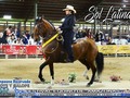 V FESTIVAL EQUINO DE AMAZONAS 2019  TROTE Y GALOPE  CAMPEONA RESERVADA: Sol Latina de Normandía . . .  #cavalos #equinos #caballos #ccc #caballocriollocolombiano #pasofino #pasofinocolombiano #pasohorse #fedequinas #edwinproducciones #trocha #trochaygalope #trote #horses #horse #horsesofinstagram #toptags #horseshow #horseshoe #horses_of_instagram #horsestagram #instahorses #instagood #ilovemyhorse #horsesofinstagram #amazonas #festival @criaderosiberia @asdepaso @criaderodelareina