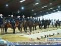 V FESTIVAL EQUINO DE AMAZONAS 2019  PASO FINO COLOMBIANO  YEGUAS MAYORES . .  #cavalos #equinos #caballos #ccc #caballocriollocolombiano #pasofino #pasofinocolombiano #pasohorse #fedequinas #edwinproducciones #trocha #trochaygalope #trote #horses #horse #horsesofinstagram #toptags #horseshow #horseshoe #horses_of_instagram #horsestagram #instahorses #instagood #ilovemyhorse #horsesofinstagram #amazonas #festival @criaderosiberia @asdepaso @criaderodelareina