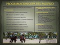 @asdecuador nos invitan a su exposición equina Copa del Pacífico - Esmeraldas, la cual se realizará los días 18 y 19 de Mayo.  Desliza para ver la Programación 🐎 .  Los esperamos! . .  #cavalos #equinos #caballos #ccc #caballocriollocolombiano #pasofino #pasofinocolombiano #pasohorse #fedequinas #edwinproduccionesinternational #trocha #trochaygalope #galope #diagonales #horses #horse #ecuador #horsesofinstagram #toptags #horseshow #instahorses #instagood #ilovemyhorse @andre_casanovacoach