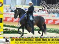 61a EXPOINTERNACIONAL EQUINA FERIA DE LAS FLORES GRADO A 2019  TROCHA Y GALOPE  CABALLOS MAYORES 78 MESES  PRIMER PUESTO Imperio de La Martina (Márquez x Venus)  SEGUNDO PUESTO Delirio de la Luisa FC (Hermano Sol de Villa Milena x Pesadilla de los Naranjos)  TERCER PUESTO Catalán de Tres Potrillos (Hermano Sol de Villa Milena x Tekila de los samanes)  CUARTO PUESTO Impacto del Cedro (Prodigio de Maria Rosa FC x Pocahontas)  #cavalos #equinos #caballos #ccc #caballocriollocolombiano #pasofino #pasofinocolombiano #pasohorse #fedequinas #edwinproducciones #trocha #trochaygalope #trote #horses #horse #horsesofinstagram #horsestagram #instahorses #horse_of_instagram #horseshow #feriadeflores @asdesilla @confepaso @fedequinas.oficial @ventanaalpasofino @rhemo_col @criadero_luxo_ @dulcejesusmioluxo @pesebrera_san_juan