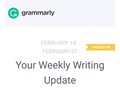 How accurate and trusted are Grammarly insights for y'all?
