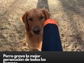 Buena suerte atrapándolo😅  #HoyseQue   Video: @el_kilombo