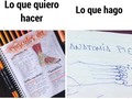 Si soy 🙊.