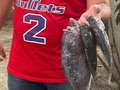 #pescado fresco 😎🤑