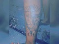 #tattoo2me #tattooed #tattoos